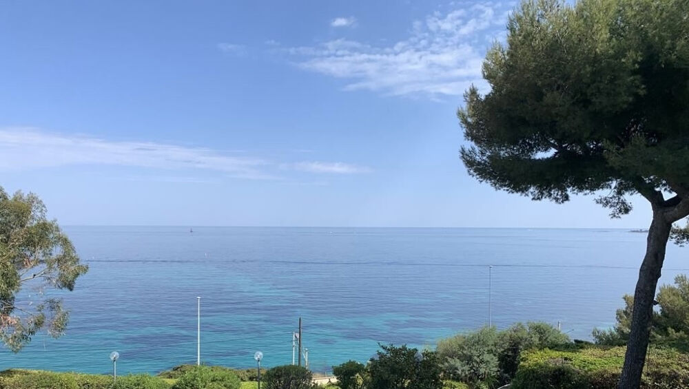 CANNES BASSE CALIFORNIE VILLA FACE MER VUE PANORAMIQUE