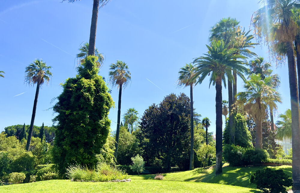  vendre  Appartement Cannes (06400)