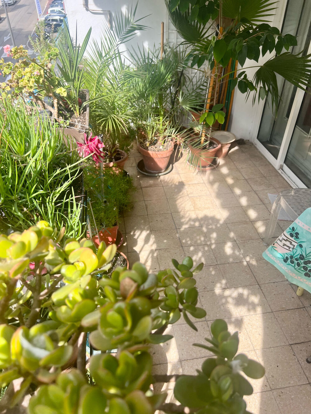 CANNET LIMITE CANNES T4/T5 DE 91M2 TERRASSES SUD 19M2, 3516€/M2 + GARAGE CAVE