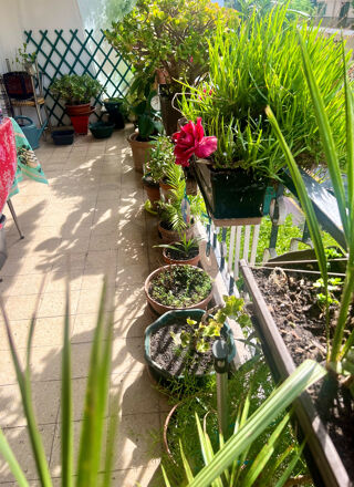  Appartement  vendre 4 pices 91 m