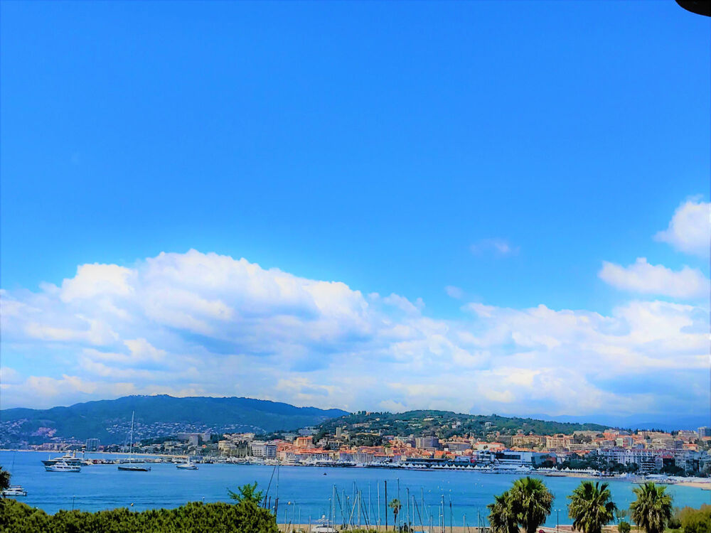  vendre  Appartement Cannes (06400)
