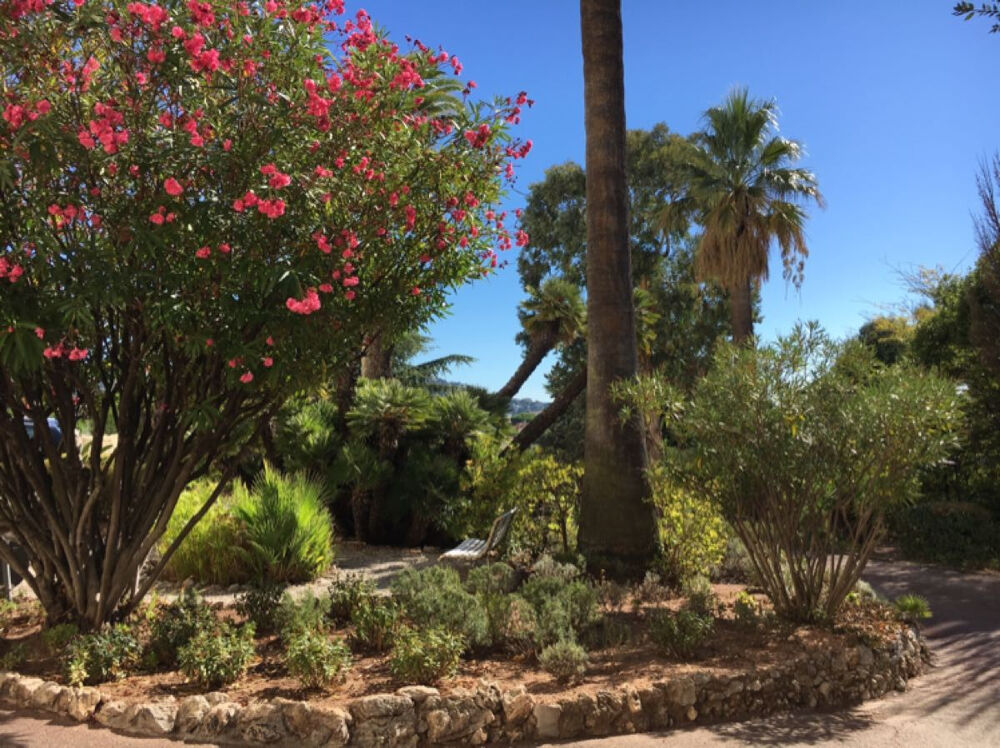  vendre  Appartement Cannes (06400)