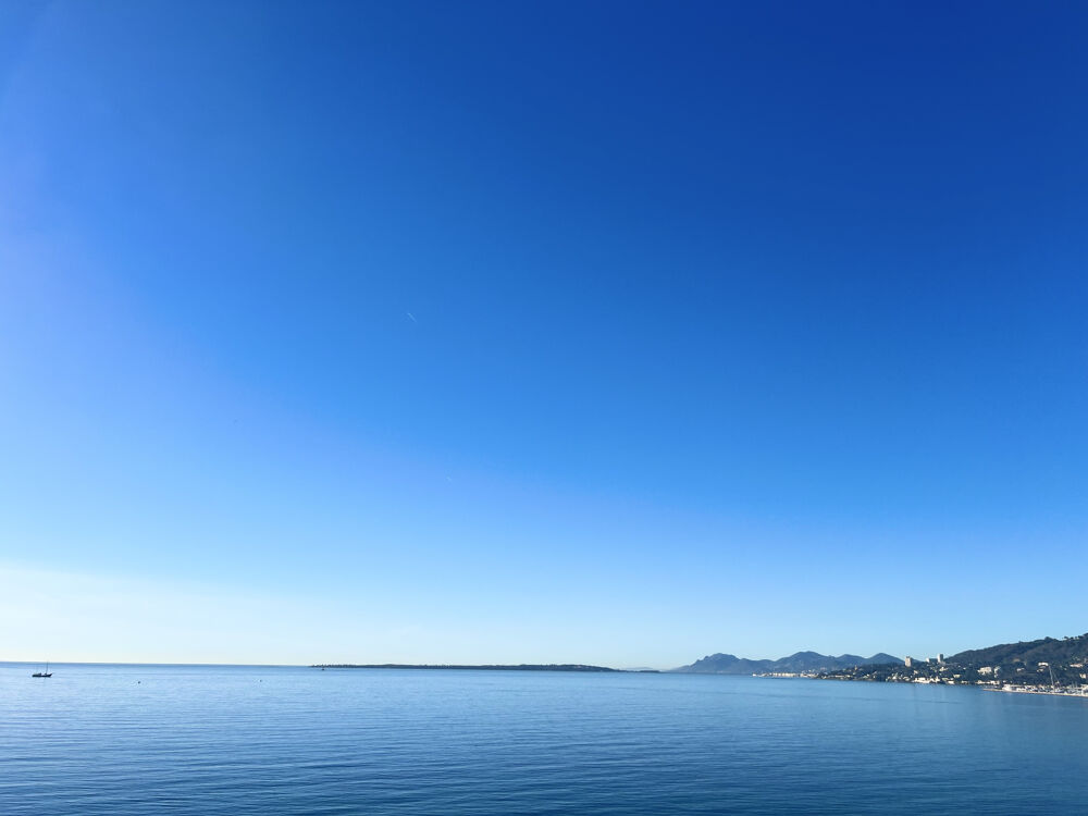  vendre  Appartement Juan Les Pins (06160)