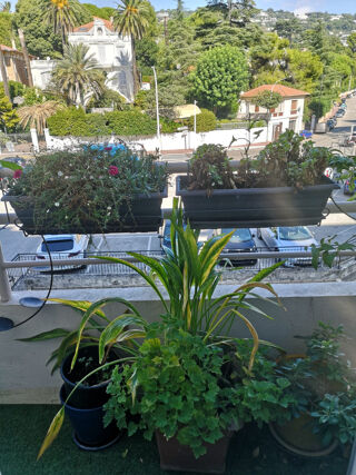  Duplex/triplex � vendre 7 pi�ces 230 m�