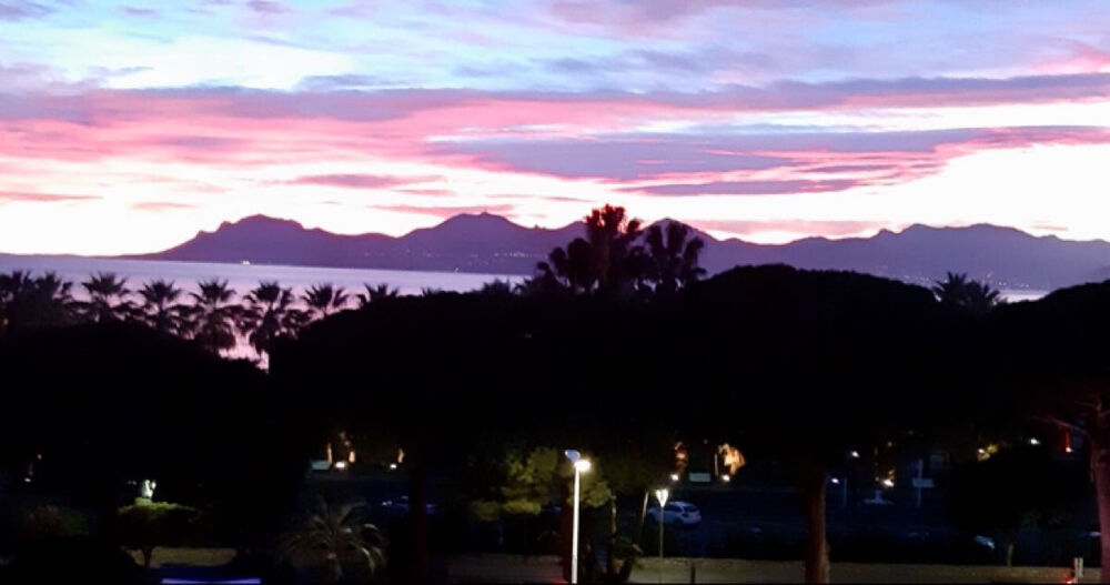 vendre  Appartement Cannes (06400)