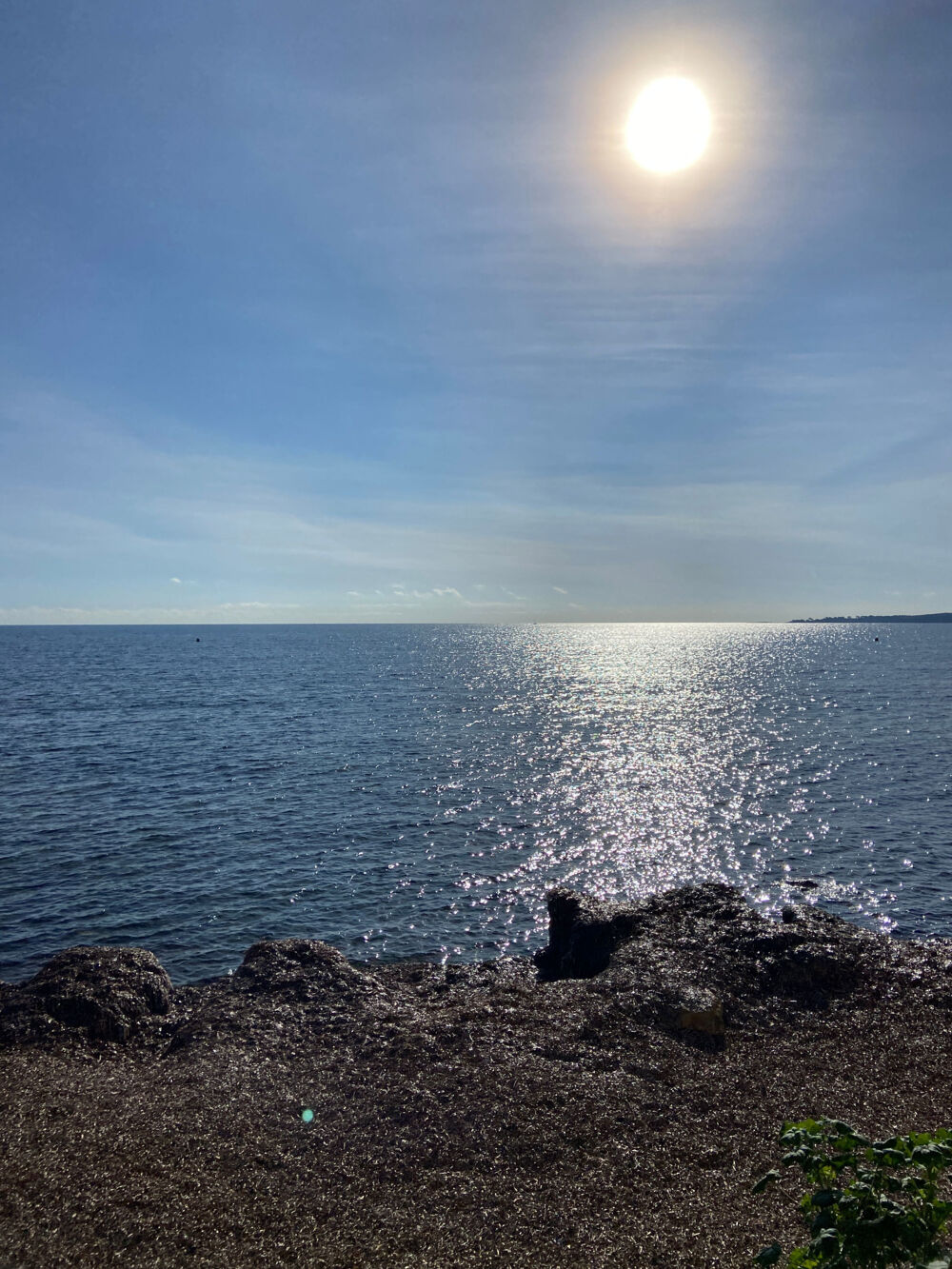  vendre  Appartement Cannes (06400)