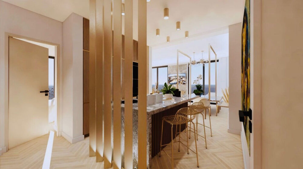  vendre  Duplex/triplex Cannes (06400)