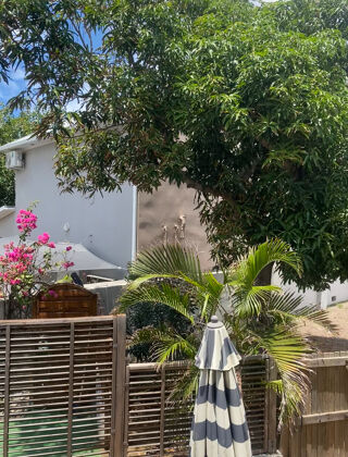  Appartement � vendre 1 pi�ce 36 m�