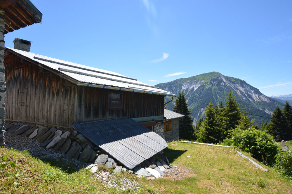 Vente Maison A Vendre - Chalet Alpage - Planfournier Planay