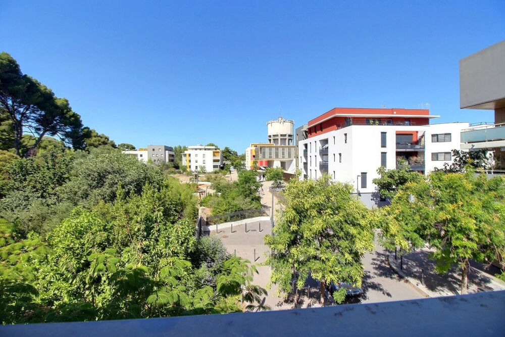 Location Appartement A LOUER Ovalie Magnifique T4 meublé 83 m2 Loggia + Parking Montpellier