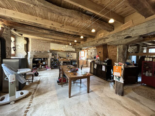  Propri�t�/ch�teau � vendre 13 pi�ces 450 m�