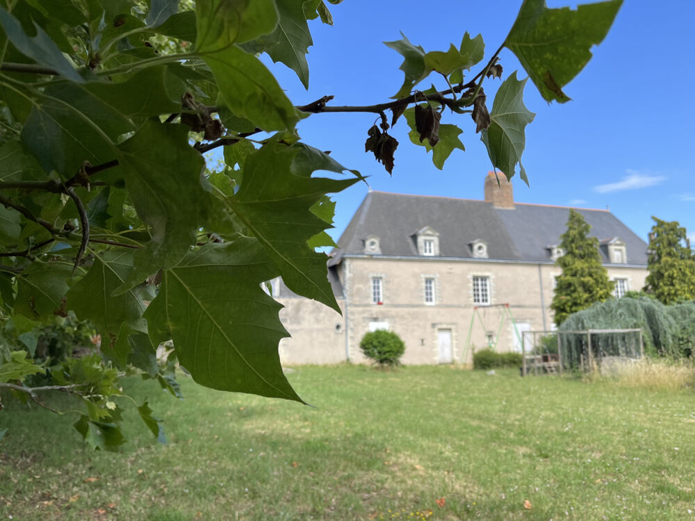  vendre  Maison Angers (49000)