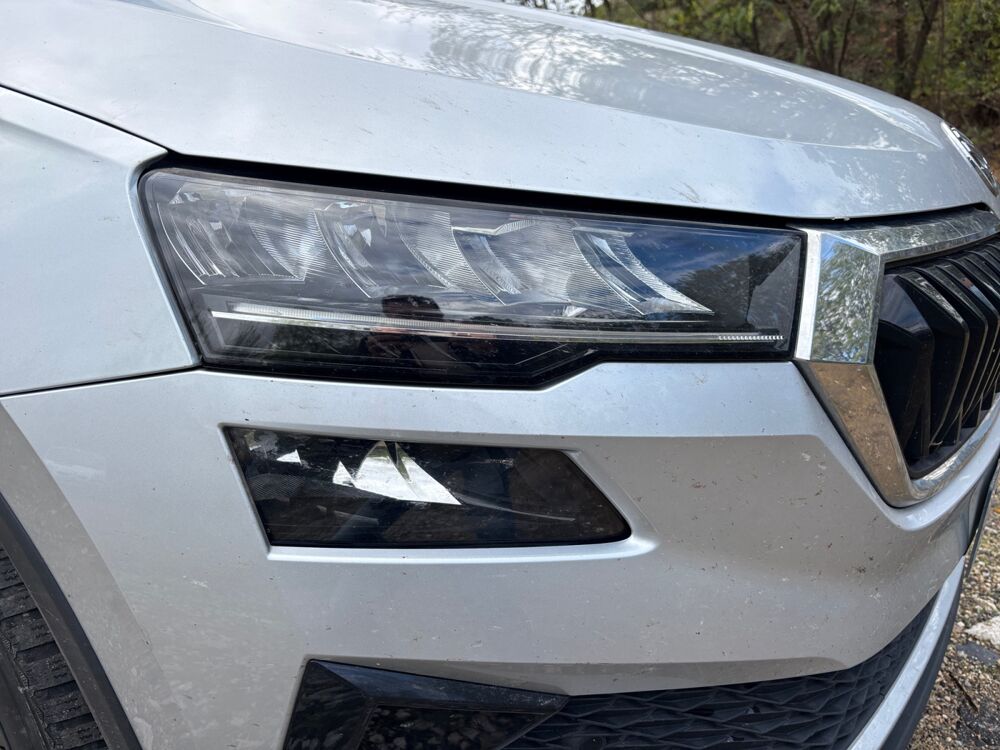 Karoq 2.0 Tdi 115 Scr Business 4x2 Dsg Bva /Camera/CarPlay 2023 occasion 43120 Monistrol-sur-Loire