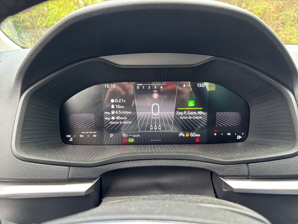 Karoq 2.0 Tdi 115 Scr Business 4x2 Dsg Bva /Camera/CarPlay 2023 occasion 43120 Monistrol-sur-Loire