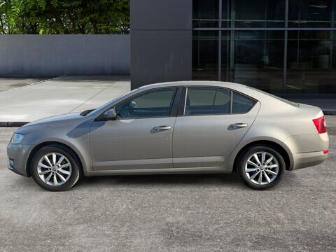 Octavia 1.2 Tsi 105ch Active 4x2 2013 occasion 45200 Montargis