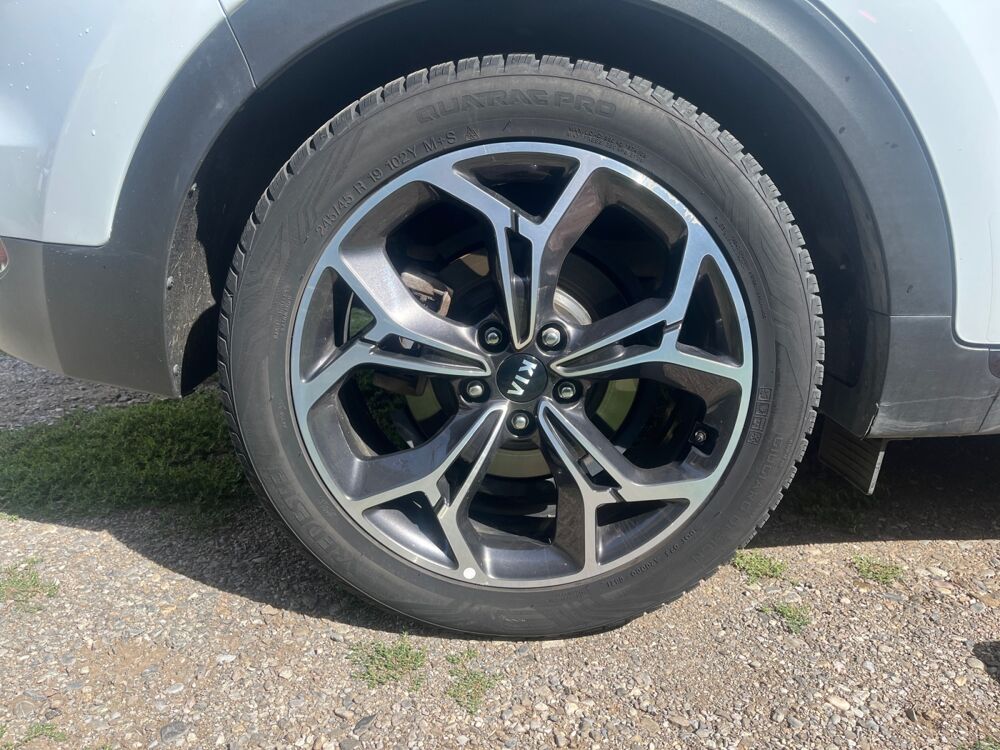 Sportage 1.6 Crdi Gt Line 135 Hybrid Mhev 48volt Ecodynamics Plus Dct 2021 occasion 74200 Thonon-les-Bains
