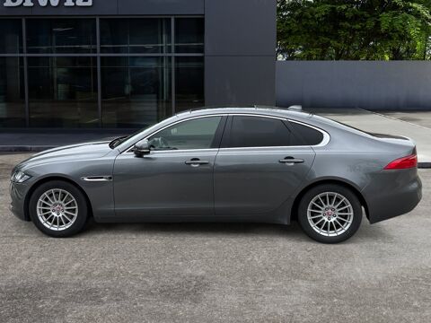 XF 2.0 D 165 ch E-Performance Pure /Cha&icirc;nes distribution neuves 2017 occasion 31650 Lauzerville