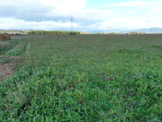  Terrain � vendre 4795 m�