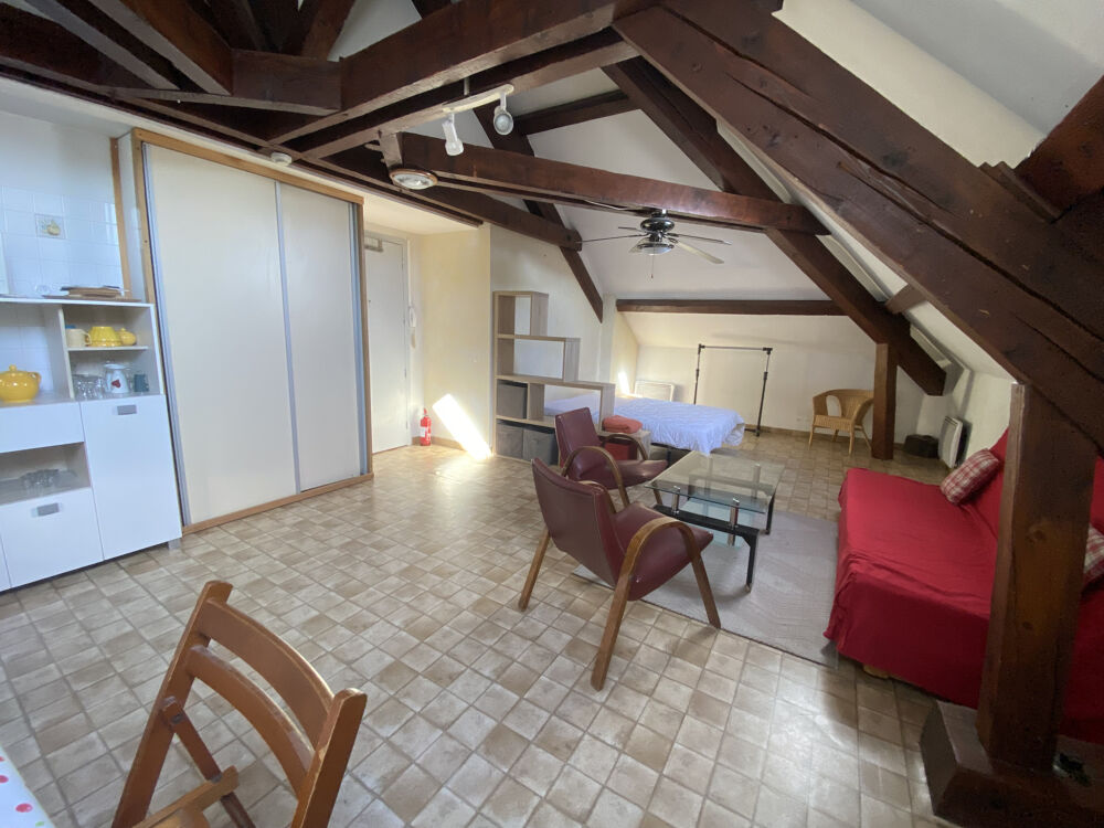 Location Appartement CHAMBERY Comte Vert, Grand T1 meublé Chambery
