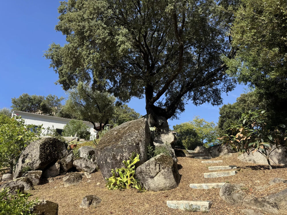 � vendre  Maison Sart�ne (20100)