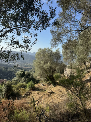  Terrain � vendre 1124 m�