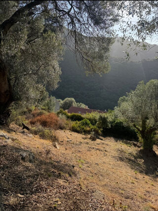  Terrain � vendre 1124 m�