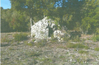  Terrain � vendre 23600 m� Bonifacio