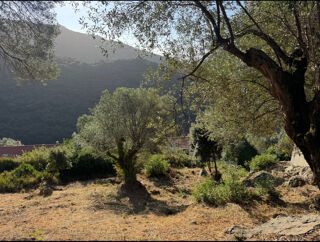  Terrain � vendre 1124 m�