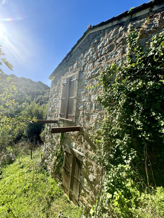  Maison � vendre 1 pi�ce 25 m�