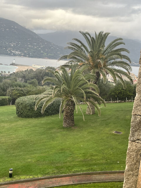 R&eacute;sidence h&ocirc;leli&egrave;re - bord de mer - Corse-du-Sud. 4200000 20000 Ajaccio