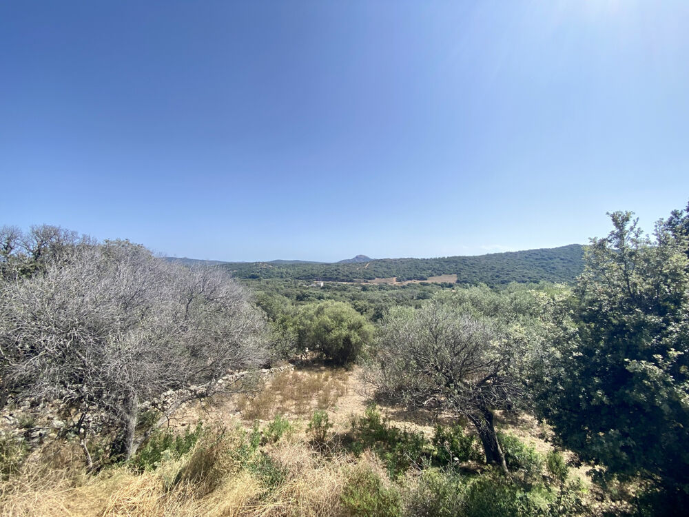  vendre  Maison Monacia-d'Aullne (20171)