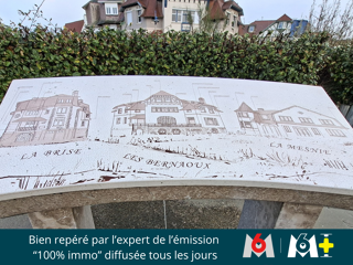  Maison � vendre 15 + pi�ces 296 m�