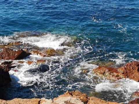 Fonds de commerce restaurant traiteur TOULON zone franche (tous commerces) 169000 83000 Toulon