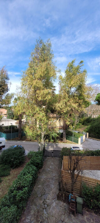  Appartement � vendre 1 pi�ce 23 m�