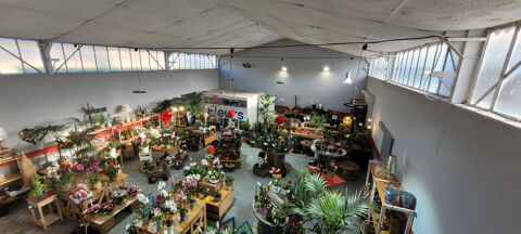   Fonds de commerce ou droit au bail de 250 m2 + garage CAVAILLON 