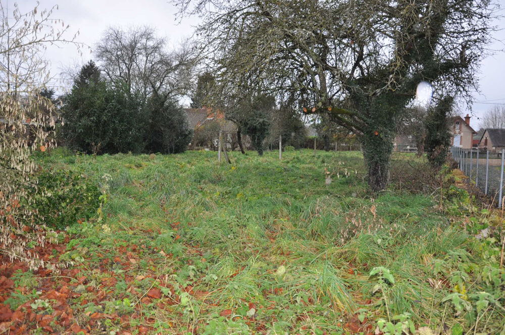 Vente Terrain Beau terrain plat à bâtir de 1040 m2 Jaligny sur besbre