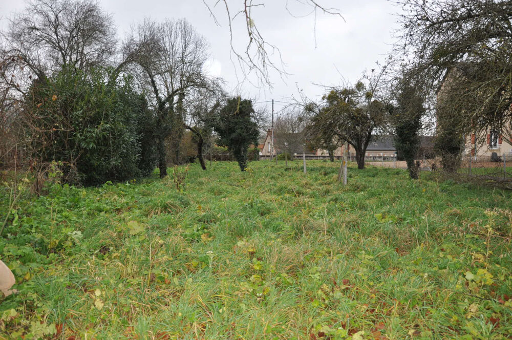 Vente Terrain Beau terrain plat à bâtir de 1040 m2 Jaligny sur besbre