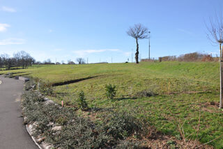  Terrain à vendre 1155 m²