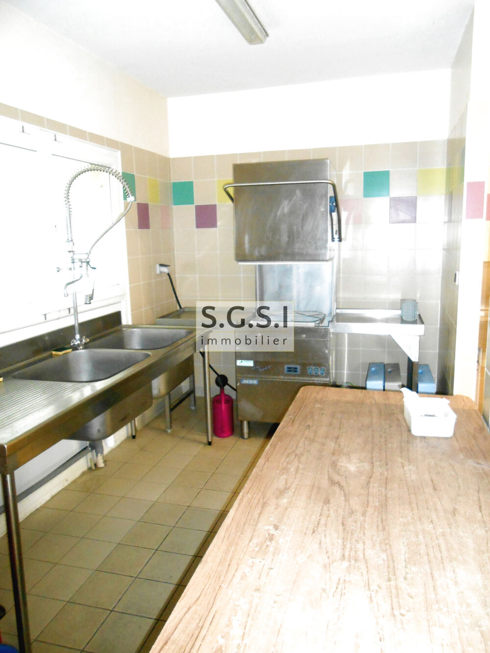  vendre  Proprit/chteau Trang (72650)