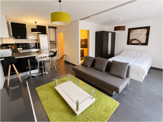  Appartement à louer 1 pièce 38 m²