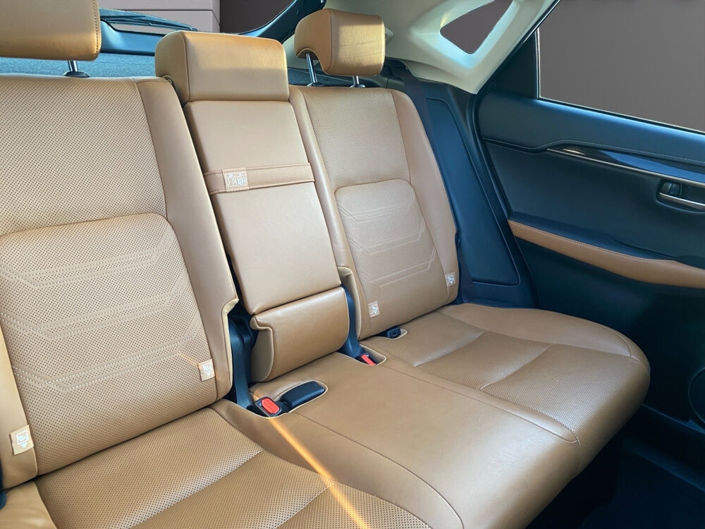 NX 300h 4WD Executive 2019 occasion 77400 Lagny-sur-Marne