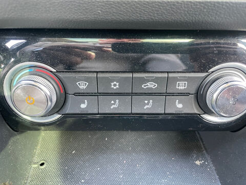 ZS EV Luxury 2021 occasion 87000 Limoges
