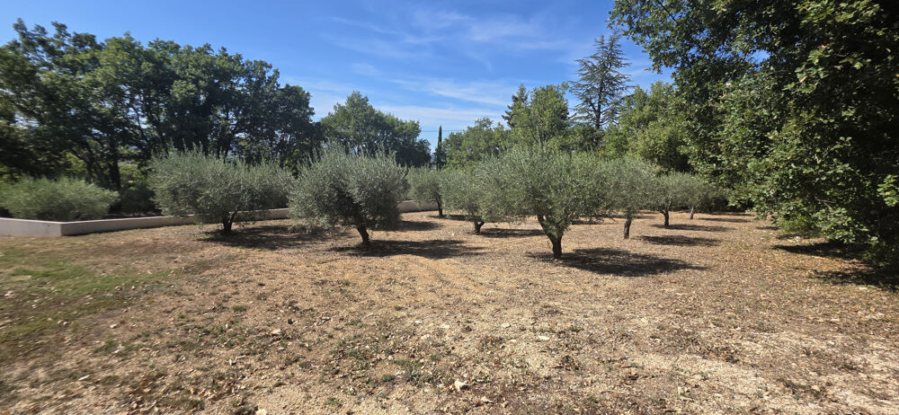 à vendre  Maison Uzès (30700)