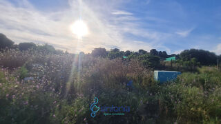  Terrain � vendre 6000 m�