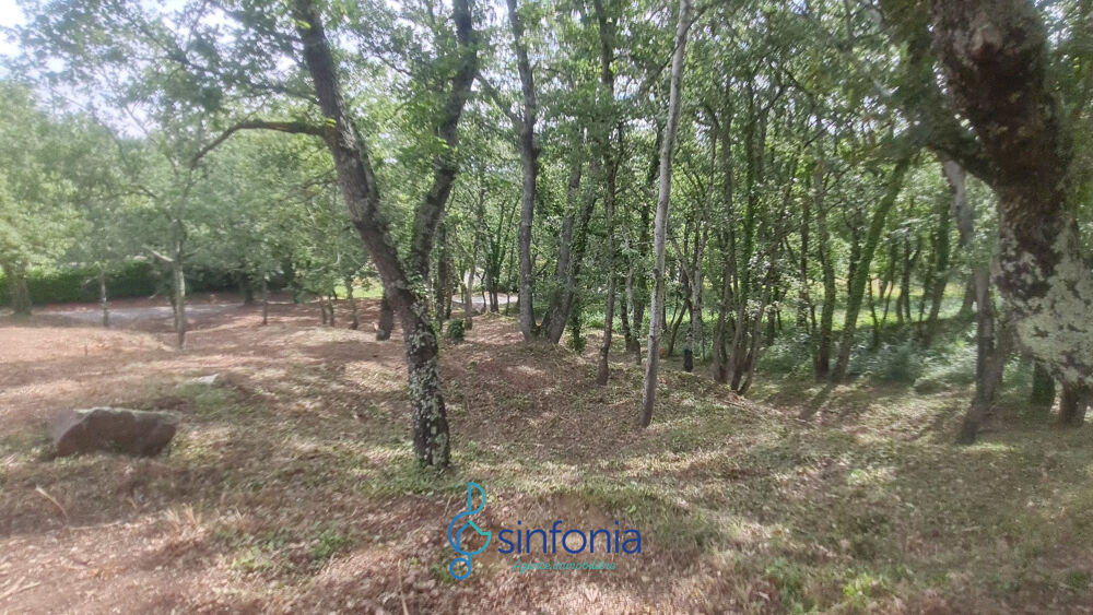 Vente Terrain Terrain constructible à vendre à Pougnadoresse Gard 30 Occitanie Pougnadoresse