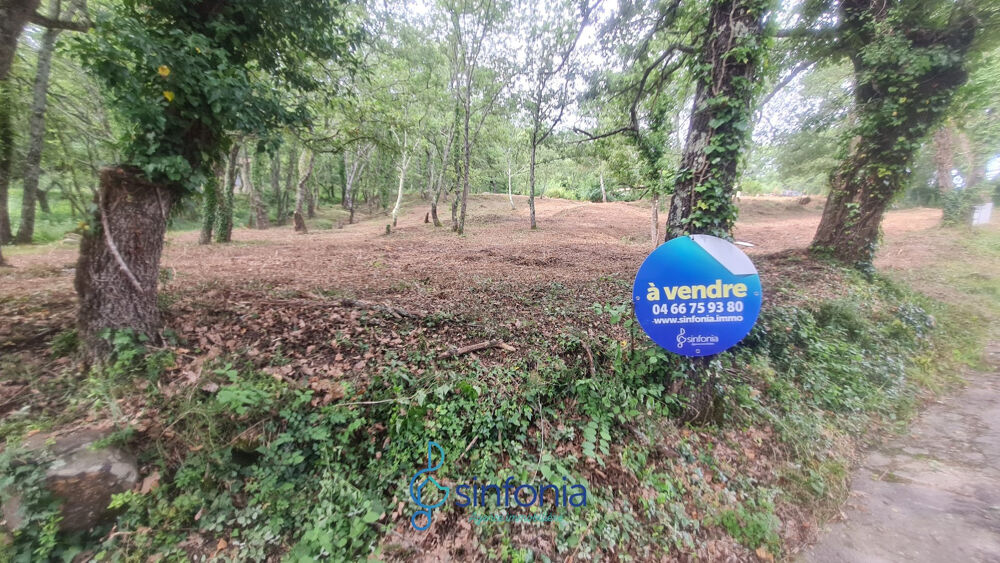 Vente Terrain Terrain constructible à vendre à Pougnadoresse Gard 30 Occitanie Pougnadoresse