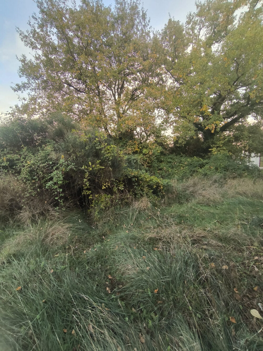Vente Terrain terrain à batir dans un cadre paisible St genies de malgoires