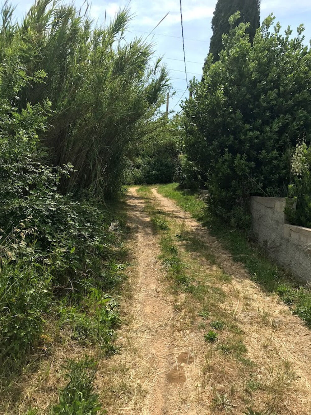 à vendre  Maison Saint-Jean-de-Védas (34430)