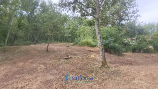  Terrain à vendre 1500 m²