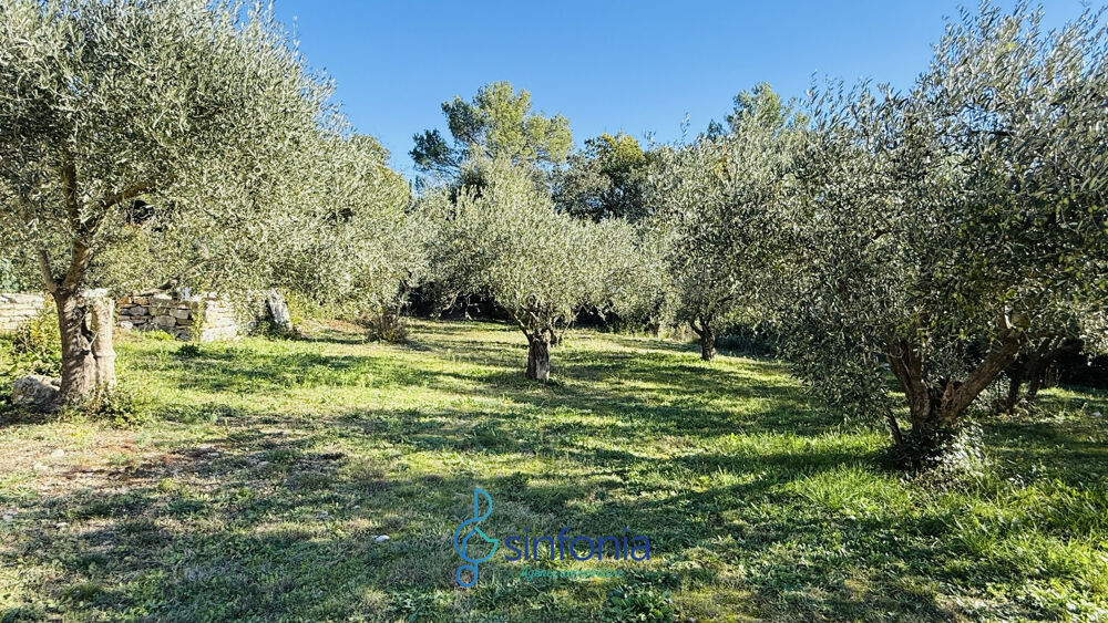 à vendre  Maison Uzès (30700)